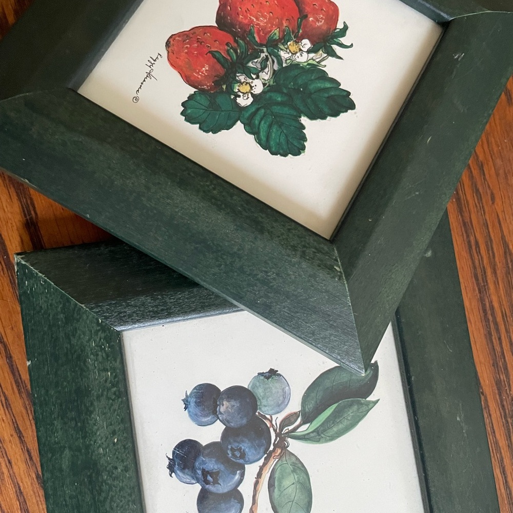 Vintage Green Framed Fruit Art Prints